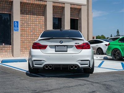 RW Signatures BMW F80 M3 & F82 F83 M4 Carbon Fiber Rear Diffuser